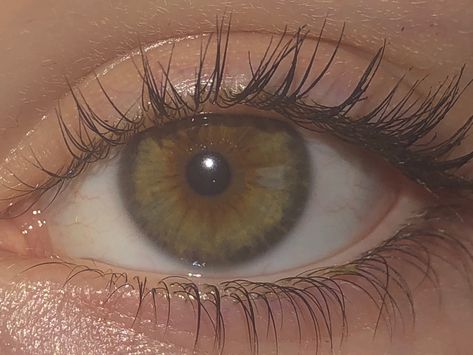 Dark Green Hazel Eyes, Dark Hazel Eyes, Green Hazel Eyes, Pjo Dr, Dark Eyes, Hazel Eyes, Green Eyes, Dark Green, Media