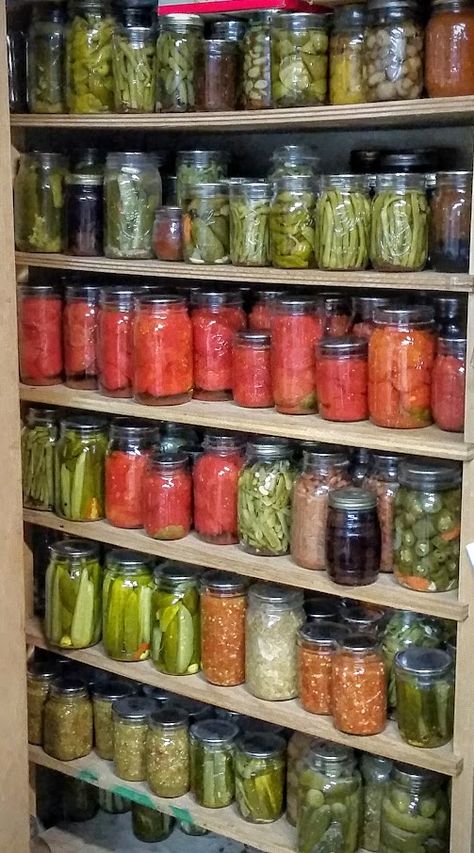 Canning 2015 Diy Food Storage, Canning Jar Storage, Food Storage Rooms, Food Storage Shelves, Canned Food Storage, Root Cellar, Food Storage Organization, Canned Goods, Jar Storage