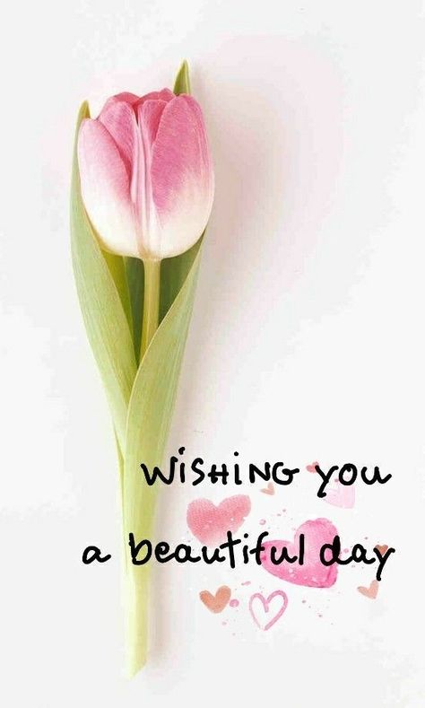 Greetings For The Day, Beautiful Morning Quotes, Good Morning Sweetheart Quotes, Cosmetic Kit, Good Morning Flowers Quotes, Good Morning Flowers Pictures, Good Morning Beautiful Pictures, Cute Good Morning Quotes, Good Morning Beautiful Quotes