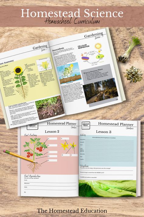 Homesteading Homeschool Curriculum, Kindergarten Science Curriculum Homeschool, Homestead Homeschool Curriculum, 2nd Grade Science Curriculum, Nature Based Homeschooling, Homeschool Gardening Curriculum, Ecology Lessons Middle School, Children Reference, Kindergarten Science Curriculum