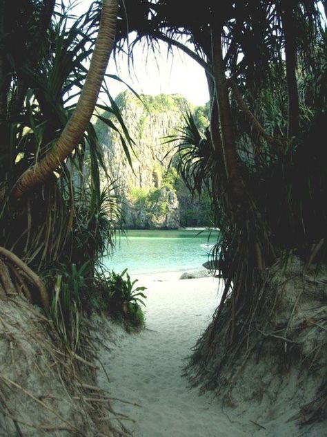 : Thailand Beach, Maya Bay, Thailand Honeymoon, Palau, Pretty Places, Amazing Nature, Vacation Spots, Dream Vacations, Maldives