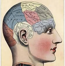 Memory Phrenology Head, Brain Based Learning, Head Bust, Brain Learning, Pineal Gland, Antique Illustration, School Psychology, Improve Memory, Human Brain