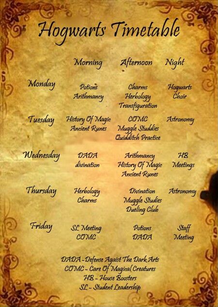 Harry Potter Kneazle Harry Potter, Harry Potter Terminology, Harry Potter Spells List And Meanings, Hogwarts Timetable Fifth Year, Harry Potter Movies In Order, Harry Potter Movies In Order List, Harry Potter Films In Order, Harry Potter Spells List, Harry Potter School