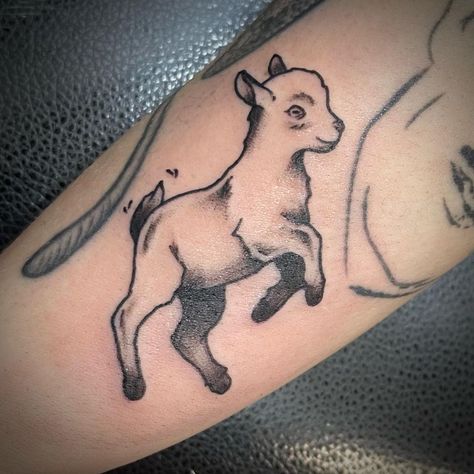 Lamb Chop Tattoo, American Traditional Lamb Tattoo, Fear The Lamb Tattoo, Traditional Lamb Tattoo, Lamb Tattoo, Fox Tattoo, Traditional Tattoos, Animals Cute, Tattoo Outline