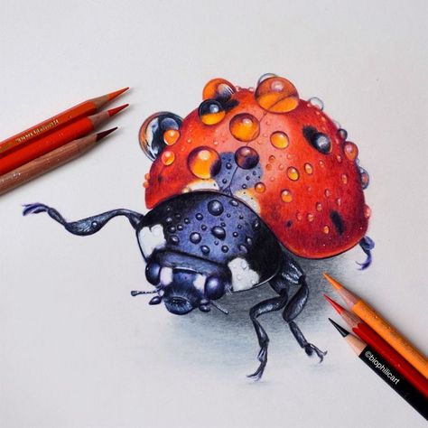 Colored Pencil Artwork Ideas, Beautiful Pencil Drawings, Color Pencil Sketch, Prismacolor Art, Colored Pencil Artwork, Colored Pencil Set, Insect Art, Colored Pencil Drawing, Coloured Pencils