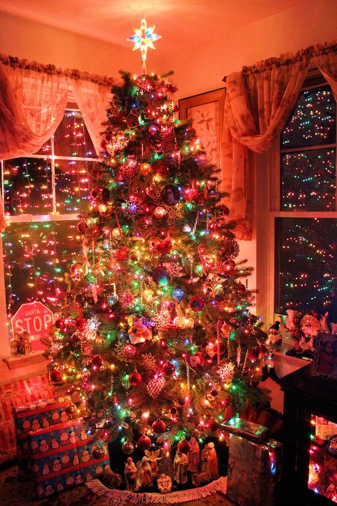 Christmas Decor Ideas 90s, Christmas Tree 2000s, Christmas Decor Ideas 2000s, Warm Colorful Christmas Lights, Christmas Tree Ideas Nostalgic, Traditional Nostalgic Christmas, Christmas Trees Colorful, 90s Christmas Tree Aesthetic, Christmas Tree Themes Colored Lights