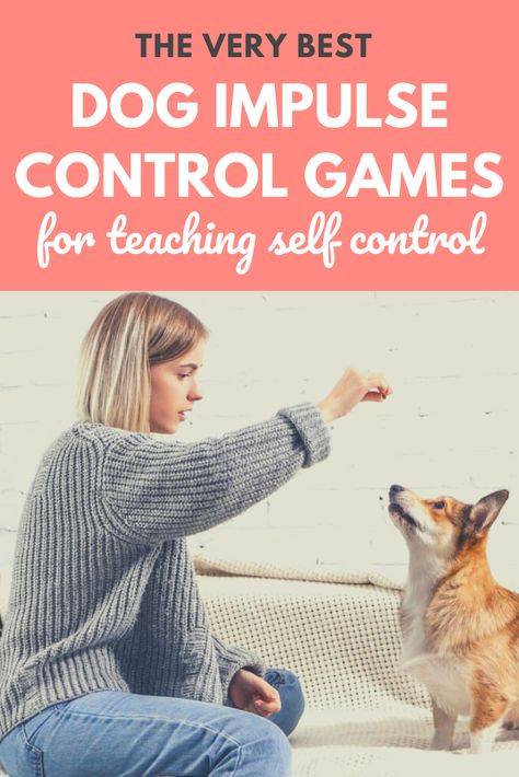 Impulse Control For Dogs, Games To Play With Puppy, Dog Training Games, Puppy Games Training, Games To Play With Your Dog, Puppy Games, Service Dog Training, Dog Behavior Problems, Puppy Training Tips