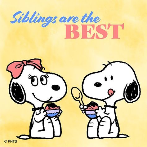 PEANUTS (@Snoopy) | Twitter Peanuts Gang Christmas, Snoopy Family, Peanuts Quotes, Siblings Day, National Sibling Day, Snoopy Birthday, Snoopy Images, Peanuts Snoopy Woodstock, Snoopy Quotes