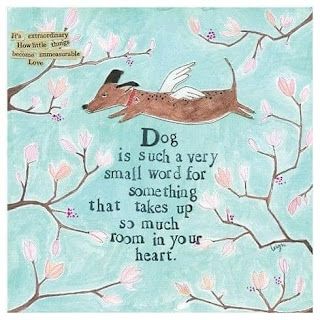 Curly Girl Designs, Dog Quotes Love, Pet Sympathy, Dog Rules, Small Words, Dachshund Love, Must Love Dogs, About Dogs, Animal Quotes