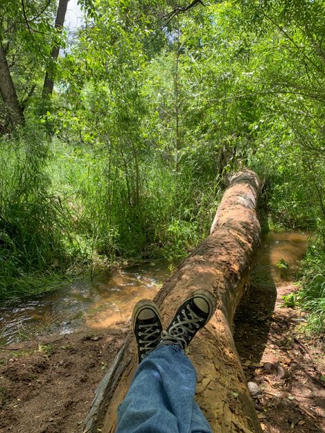 Walking In Woods Aesthetic, Walk In Forest Aesthetic, Walks In The Woods, Walking Path Aesthetic, Walk Nature Aesthetic, Walking In Forest Aesthetic, Things To Do In The Forest, Walking Trail Aesthetic, Nature Walks Aesthetic