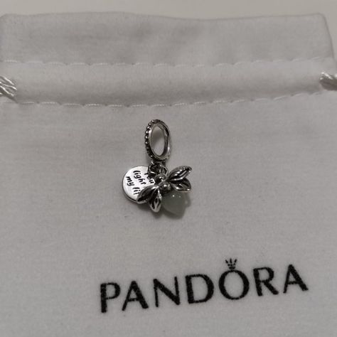 Pandora Glow-in-the-dark Firefly Dangle Charm Pandora Bracelet Firefly, Pandora Bracelet Charms Ideas, Pandora Logo, Pandora Bracelet Charms, Bracelet Charms, Dangle Charms, Pandora Bracelet, Dream Jewelry, Pandora Jewelry