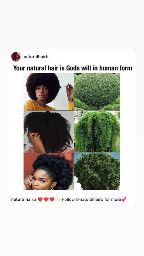 Healthy 4c Hair Tips, 4c Natural Hair Wash Day Routine, Wash Day Routine Natural 4c Hair, Coily Hairstyles, Natural Hair Memes, Natural Hair Problems Meme, Afro Curls, Natural Hair Products, Natural Hair Growth Tips