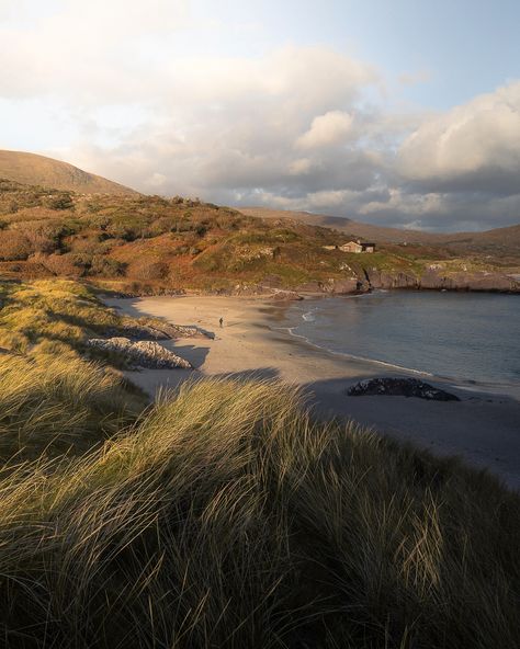 Exploring the dunes at Derrynane on the Ring of Kerry Derrynane Beach Ireland, Ireland Nature Aesthetic, Ireland Beach Aesthetic, Beaches In Ireland, Summer In Ireland, Irish Beach, Irish Coast, Ireland Country, Ireland Beach