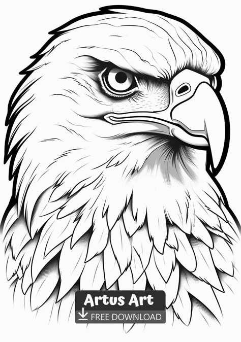 Awesome Bald eagle Coloring Page - Free PDF Download Coloring Page. Ignite your imagination with our collection of mesmerizing Awesome Bald eagle coloring pages. Dive into a world of endless possibilities and let your creativity run wild. #freedownload #awesomebaldeaglecoloringpage #awesomebaldeagle Eagles Drawing Easy, Eagle Art Draw, Bald Eagle Drawing, Eagle Coloring Pages, Eagle Sketch, Wood Burning Patterns Stencil, Coloring Pages Adult, Eagle Drawing, Pencil Drawings Of Animals