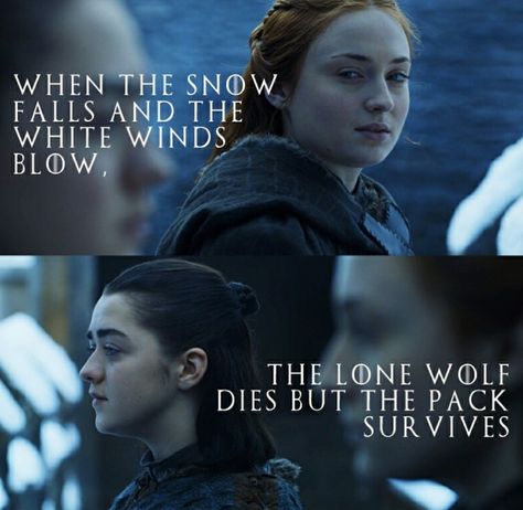 GoT | "When the snow falls and the white wind blows, the lone wolf dies but the pack survives" Lup Singuratic, Game Of Thrones Instagram, Game Of Thrones Arya, The Lone Wolf, Game Of Thrones Facts, Got Game Of Thrones, Game Of Thrones Quotes, Snow Falls, Quotes Book