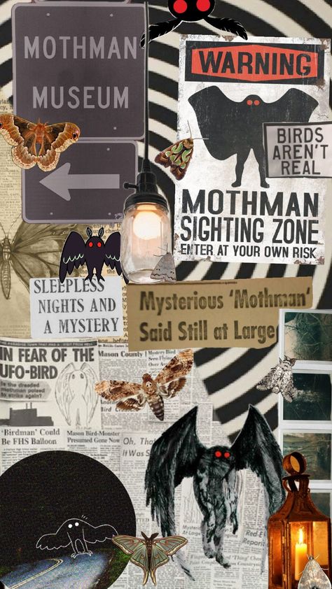 #mothman #cryptid Mothman Wallpaper Iphone, Cryptid Wallpaper Iphone, Mothman Wallpaper, Mothman Sightings, Cryptidcore Aesthetic, Phone Lockscreen, Creepy Art, Halloween Backgrounds, Free Prints