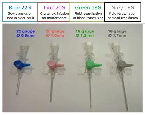 IV therapy Iv Needle, Iv Cannula, Nursing Iv, Studying Nursing, Iv Insertion, Crazy Images, Iv Line, Nursing Study Tips, Crazy Pics