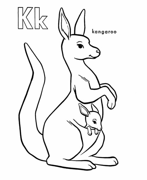 Free Printable Kangaroo Coloring Pages For Kids Kangaroo Drawing, Kangaroo Kids, Australian Mammals, Kangaroo Art, Animal Outline, Preschool Coloring Pages, Abc Coloring, Alphabet Coloring Pages, Alphabet Coloring