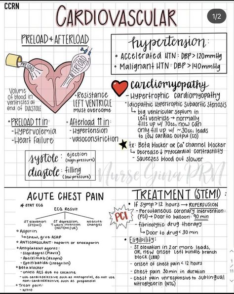 Cardio Assessment Nursing, Med Surge Cardiovascular, Cardiac Dysrhythmias Cheat Sheets, Med Surg Cardiovascular, Cardiovascular Assessment Nursing, Cardiac Meds Nursing, Cardiovascular Medications Cheat Sheets, Heart Diseases Illustration, Cardiomyopathies Nursing