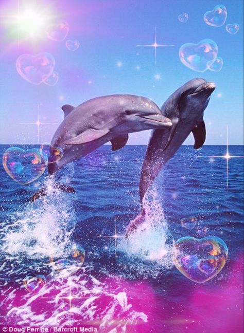 Dolphin Memes, Visual Asmr, Ocean Princess, Tropical Core, Beach Barbie, H2o Mermaids, Jelly Wallpaper, Coconut Dream, Sea Dream