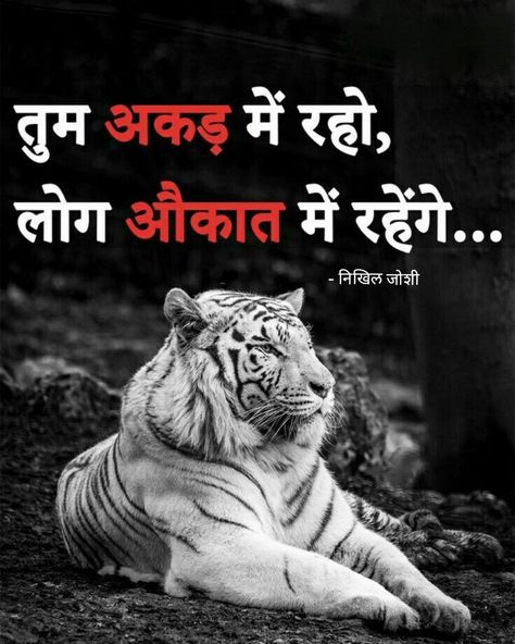 Best Attitude Quotes, Cabbage Seeds, Best Whatsapp Status, Status Attitude, Best Attitude, Silence Quotes, Hindi Status, Status Funny, Funny Jokes In Hindi