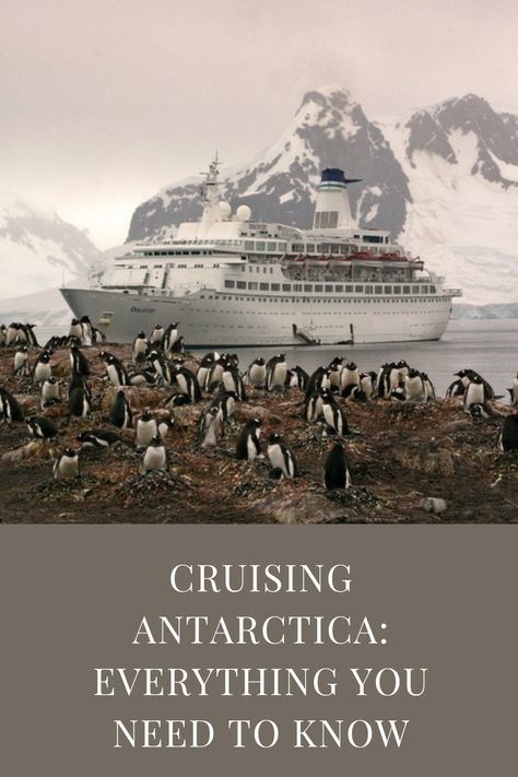 With more than a dozen cruise lines and adventure operators offering sailings to Antarctica, there are lots of factors to consider — the type of ship, the length of the cruise, the activities offered both onboard and ashore, and the actual itinerary itself — so knowing all the variables is important. Here’s a guide to cruising to Antarctica that explores what’s currently offered. Antarctic Cruise, Cruise Lines, Holland America, River Cruises, Luxury Yachts, Holland, Sailing, Need To Know, Travel