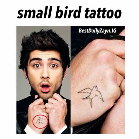 Zayn Malik Tattoos, Zayn Malik Hairstyle, Small Bird Tattoo, Pirate Tattoo, Zayn Malik Photos, Classy Tattoos, Birds Tattoo, Zayn Malik, Simplistic Tattoos