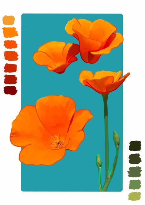 Digital Sketchbook 5x7 Print California Poppies Illustration - Etsy Poppy Mural, Bobcat Painting, Poppies Illustration, Ca Poppy, Orange Terrazzo, California State Flower, California Poppy Art, Flower Art Wall, Lavender Wall Art