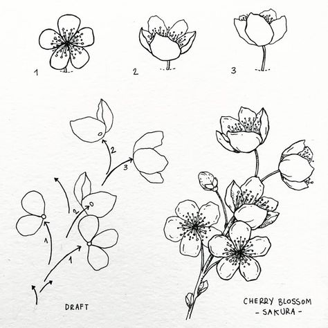 How To Draw Flowers For Beginners, Floral Drawing Simple, Flower Tutorial Drawing, Flower Drawing Reference, How To Draw Flowers Step By Step, How To Draw Flowers, Flower Reference, Botanical Line Drawing, Draw Flowers