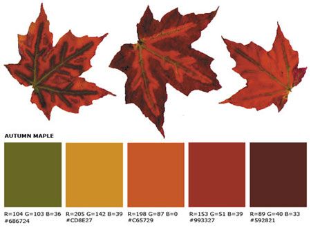 Gothic Color Palette, Fall Color Pallet, Room Color Schemes, Pallet Painting, Fall Color Palette, Color Palate, Fall Wedding Colors, Fall Is Here, World Of Color