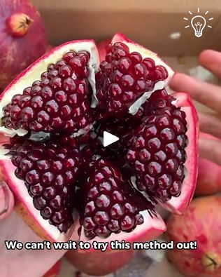 169K views · 4.7K reactions | How to perfectly cut a pomegranate! ✨ | How to perfectly cut a pomegranate! ✨ | By Simple Life | Facebook How To Reseed A Pomegranate, How To Peel A Pomegranate, Cut Pomegranate, How To Cut Pomegranate, Create A Signature, Natural Line, Test Kitchen, Food Tips, Simple Life