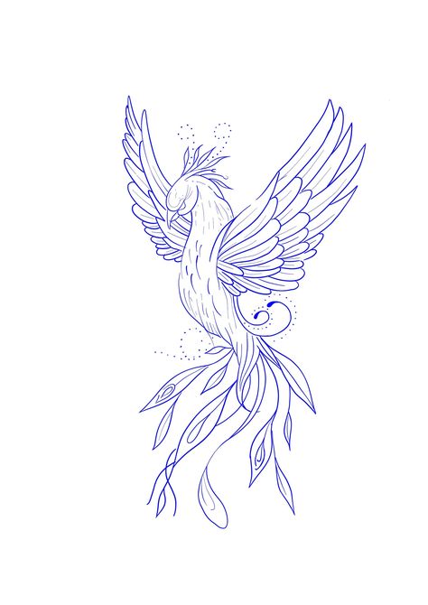 Phoenix Outline Drawing, Phoenix Tattoo Stencil, Buddah Sleeve Tattoo, Fenix Art, Phoenix Outline, Phoenix Drawing, Small Phoenix Tattoos, Butterfly Tattoo Stencil, Phönix Tattoo