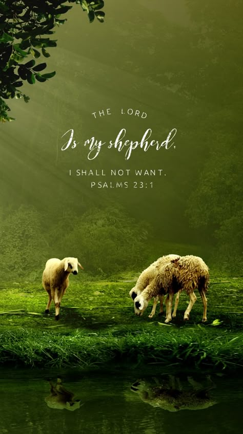 Christian Aesthetics, I Shall Not Want, 2024 Wallpaper, Verse Images, Psalm 23 1, Paintings Tutorials, The Lord Is My Shepherd, Gospel Quotes, Bible Stuff