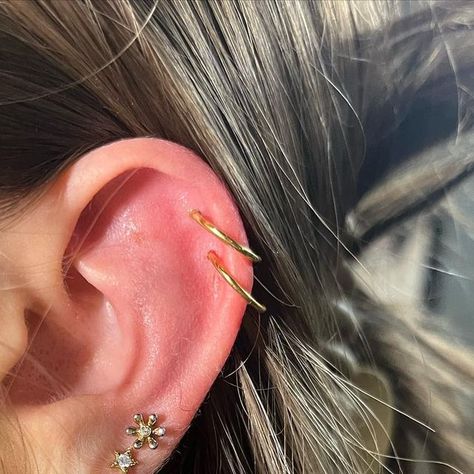 Lauren Rummel on Instagram: "Here’s a double helix with gold titanium jewelry I did a couple weeks back🤗" Low Double Helix Piercings, Helix Earrings Gold, Double Helix Jewelry, Double Helix Hoop, Double Helix Piercing Hoop, Double Helix Piercings, Helix Earrings Hoop, Double Helix Piercing, Helix Ring