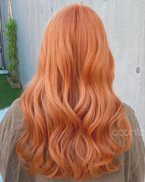 Light Orange Hair Color, Pastel Peach Hair, Light Orange Hair, Pink Orange Hair, Peach Hair Dye, Pastel Orange Hair, Peach Hair Color, Beige Hair Color, Blorange Hair