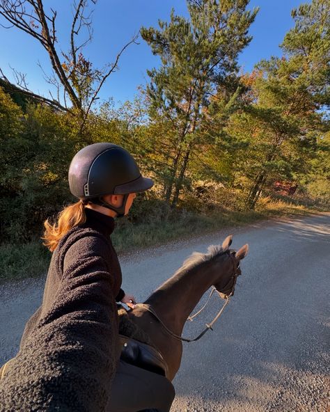 Oktober hittills🫢😍🍁 Horses At Home, Horse Riding Photos, Horse Riding Pictures, Horses Aesthetic, Preppy Equestrian, Horse Riding Aesthetic, Horsey Life, Equestrian Aesthetic, Horse Riding Equestrian