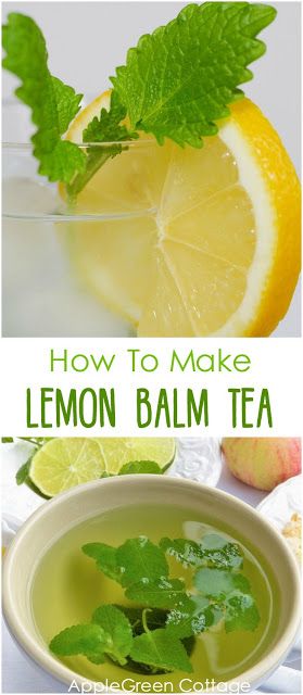 Lemon Balm Uses, Lemon Balm Recipes, Lemon Balm Plant, Tea Blends Recipes, Lemon Balm Tea, Healing Tea, Homemade Tea, Herbal Teas Recipes, Herb Recipes