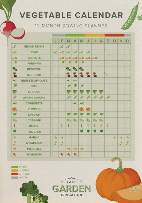 Vegetable Calendar, Food Organization Ideas, Raised Veggie Garden, Vitamin Benefits, Vegetable Planting Calendar, Name Of Vegetables, Gardening Planner, Planting Chart, Plants Guide