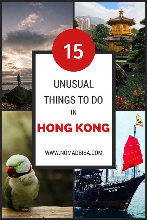 Things to Do in Hong Kong Hong Kong Travel Tips, Macau Travel, Hong Kong Travel Guide, Travel Baby Shower Theme, China Trip, North Asia, Travel Baby Showers, Travel China, Hong Kong Food