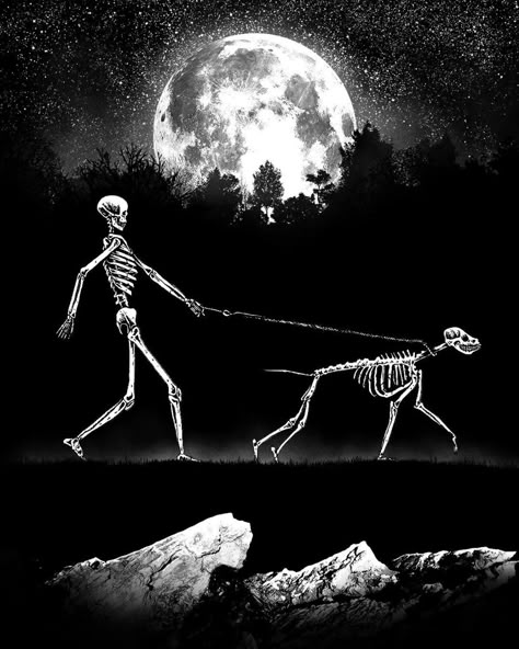 Skeleton Dog Wallpaper, Skeleton And Dog Wallpaper, Skeleton Dog Tattoo, Skeleton Walking Dog, Dog Skeleton Tattoo, Animal Skeleton Drawing, Cool Skeleton Art, Skeleton With Dog, Skeleton Art Dark