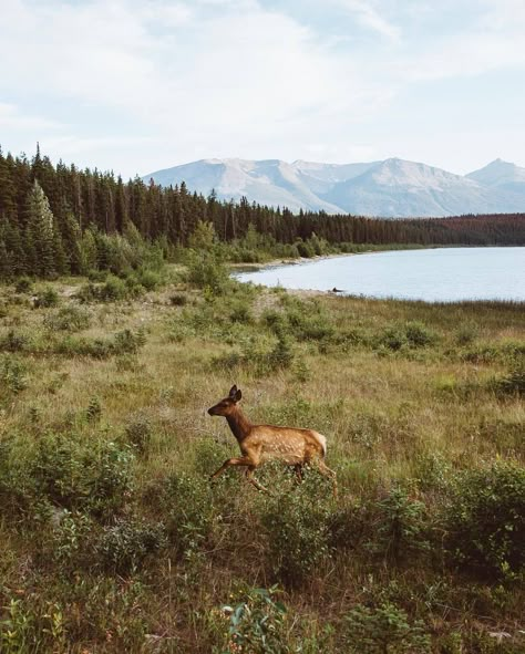 Adventure Academia, Natural Antidepressants, The Art Of Slow Living, Art Of Slow Living, Relatable Poetry, Pretty Nature, Stunning Nature, Picture Inspiration, Boom Boom