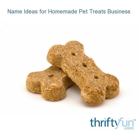 This guide is about name ideas for homemade pet treats business. When choosing a name for your business you want it to be simple and easy to remember. Pumpkin Dog Treats Easy, Dog Treat Business, Woodland Trust, Treat Business, Homemade Pet Treats, Dog Treats Homemade Easy, Pumpkin Dog Treats, Pumpkin Treat, Dog Cleaning