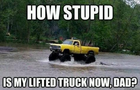 Lifted trucks there is just one problem with this pic... chevy would never make it... a REAL truck like ford would Car Humor Hilarious, Ford Jokes, Jacked Up Chevy, Jacked Up Truck, Truck Memes, Truck Quotes, Custom Lifted Trucks, Car Jokes, Funny Car Memes