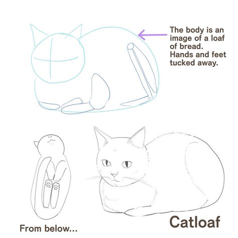 Cat Sitting Poses Drawing, Cat Body Drawing Reference, How To Draw Cat Bodies, How To Draw Anime Cat, Cat Sitting Drawing Reference, Cat Laying Down Drawing Reference, How To Draw Cats Bodies, Cat Stretching Drawing, Cat Laying On Back Drawing