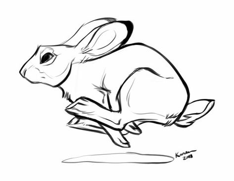 Run Rabbit Run Tattoo, Run Tattoo, Hase Tattoos, Rabbit Anatomy, Run Rabbit Run, Running Drawing, Running Illustration, Running Tattoo, Rabbit Drawing