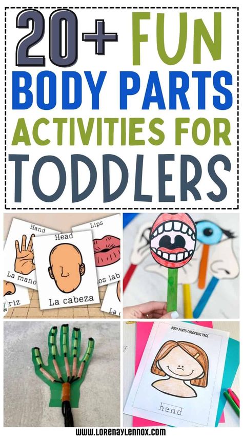 My Body Crafts For Infants, Anatomy Activities For Preschool, My Body Montessori Activities, Human Body Math Activities Preschool, Body Art Preschool, Preschool Body Crafts, Body Part Craft For Toddlers, Body Unit Preschool, Pre K Body Parts Activities