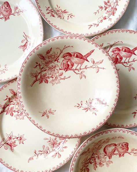 Vente de vaisselle vintage | Assiettes anciennes Vintage Porcelain Plates, Brocante French Vintage, Antique Dinnerware, Vintage Dishes Antiques, Vintage Dishware, Porcelain Vintage, Table Setting Inspiration, Brown Transferware, Antique Dishes