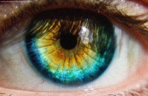 Central Heterochromia, or as I call them, peacock eyes. Mine are gold, bronze, green, dark blue and silver blue. Photo Oeil, Central Heterochromia, Heterochromia Eyes, Foto Macro, Blue Eye Color, Beautiful Eyes Color, Golden Eyes, Look Into My Eyes, Eye Photography