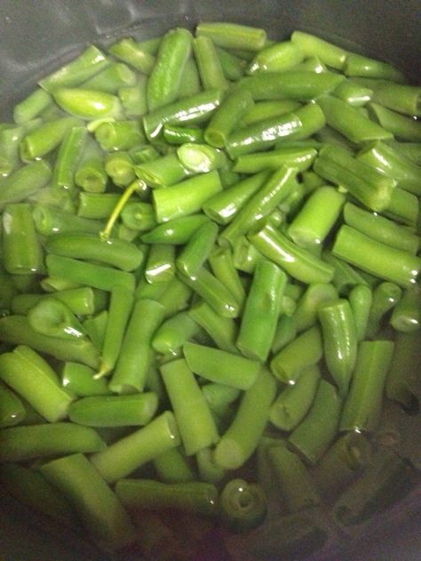 Indian Green Beans, Beans For Babies, Baby Food Homemade, Green Bean Baby Food, Boil Green Beans, Steamed Green Beans, Bush Beans, Baby Puree Recipes, Frozen Green Beans