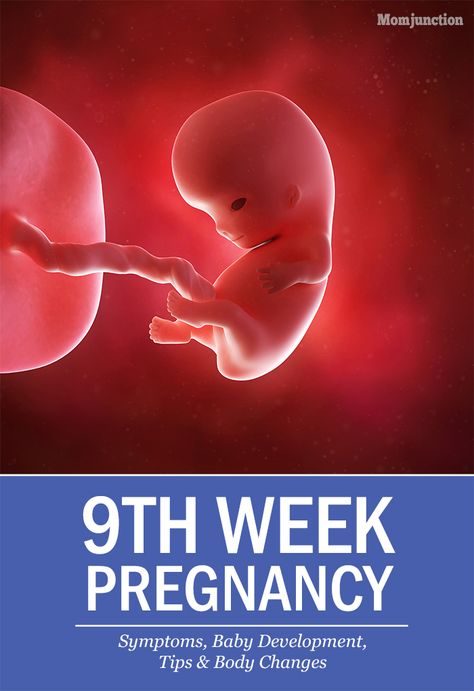 9 Week Baby Bump, 9 Weeks Pregnant Ultrasound, 9 Weeks Pregnant Symptoms, Nine Weeks Pregnant, Pregnant Symptoms, Body Changes During Pregnancy, 9 Weeks Pregnant, Bump Ahead, Baby Bump Pictures